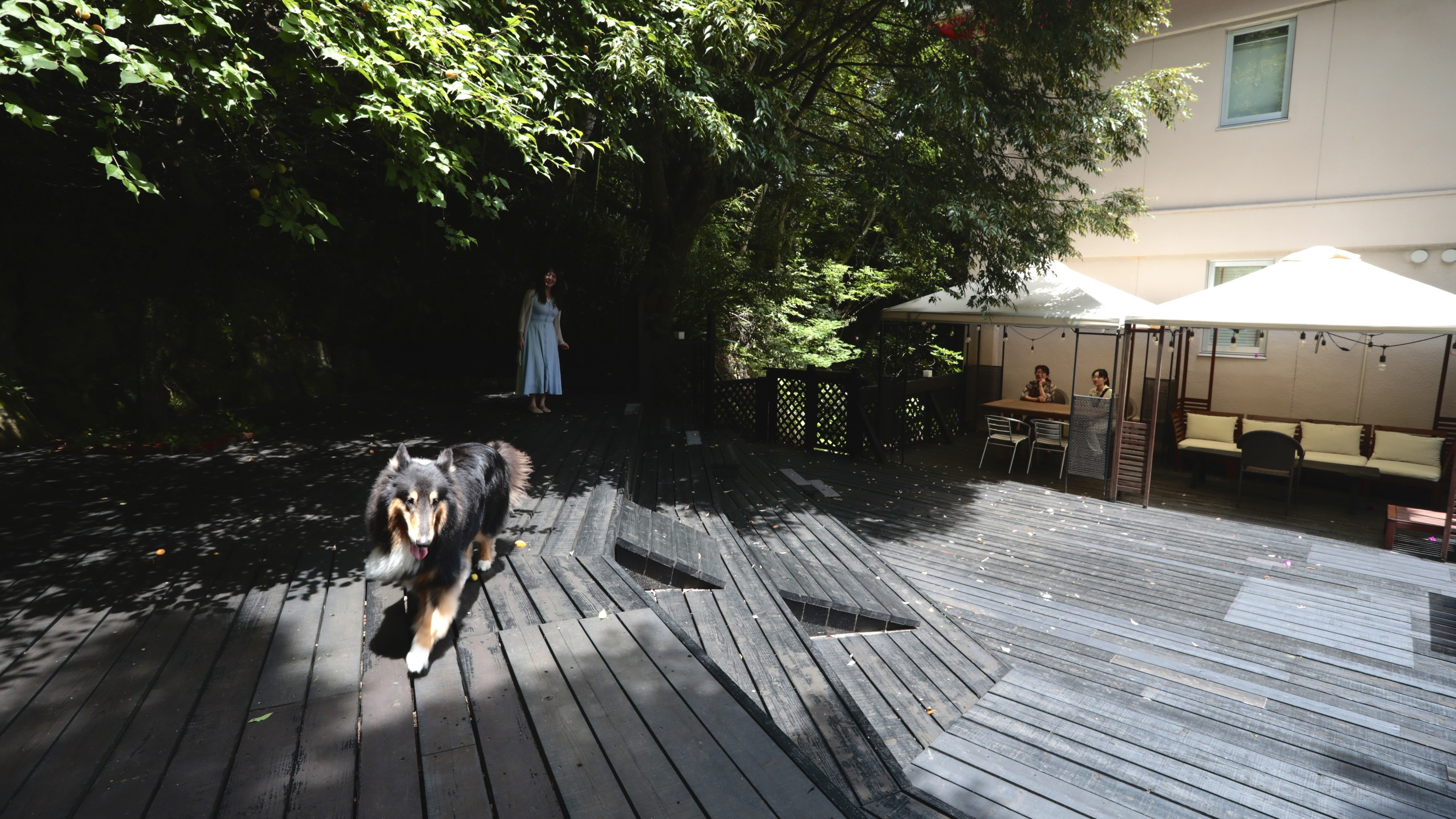 【ウッドデッキのドッグラン（本館施設）】