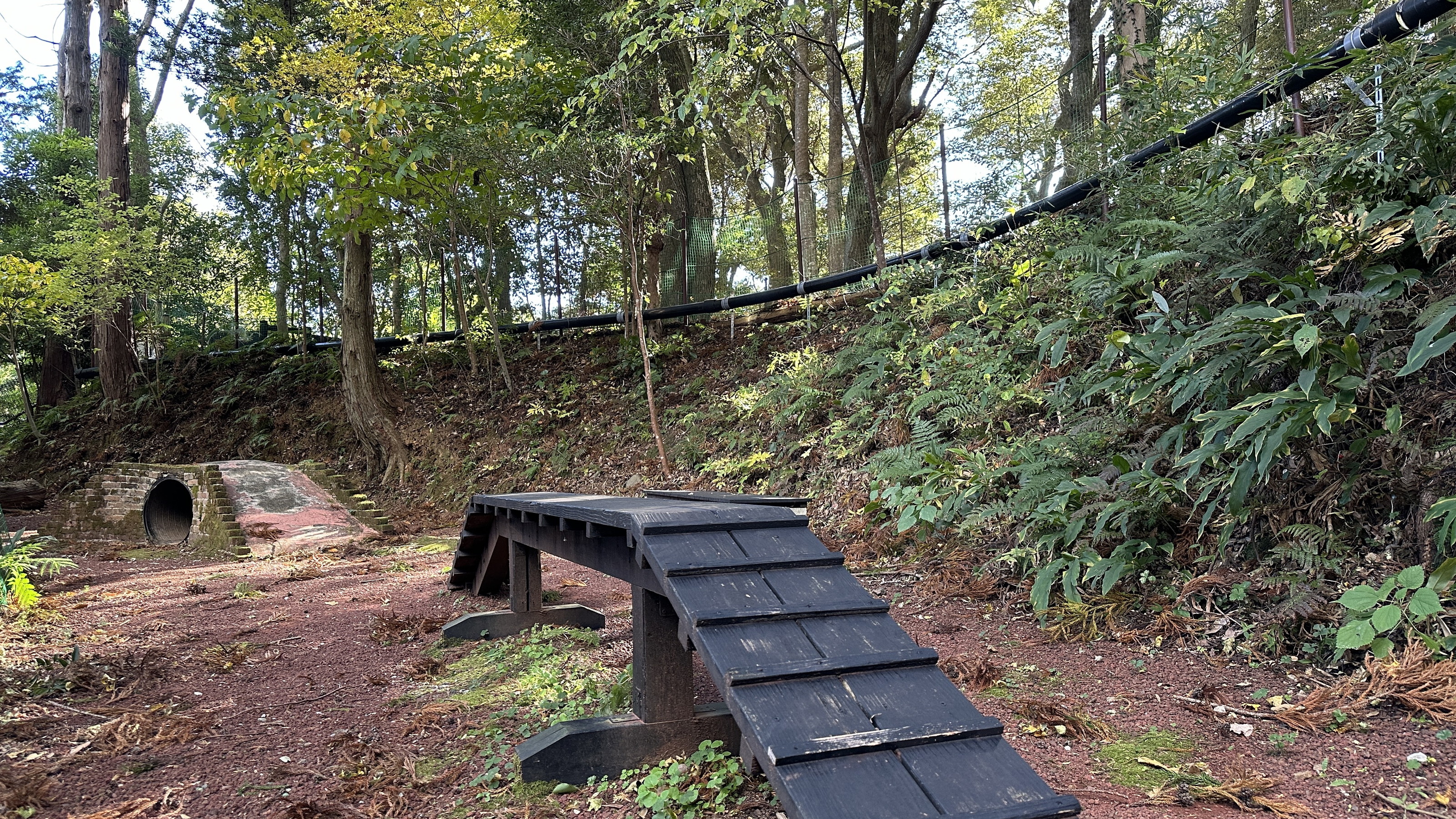 【森のドッグラン（本館施設）】