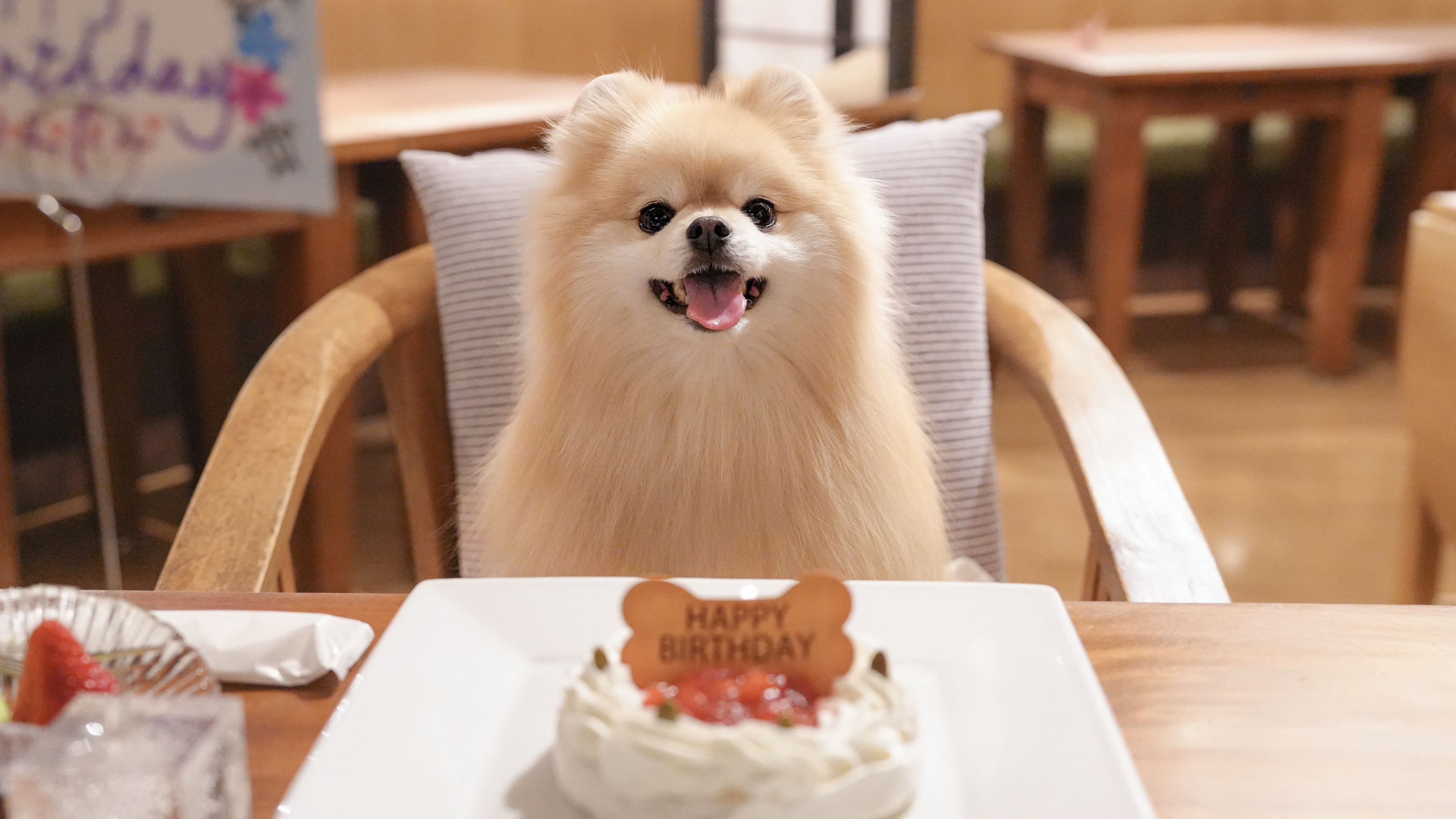 わんちゃんケーキ