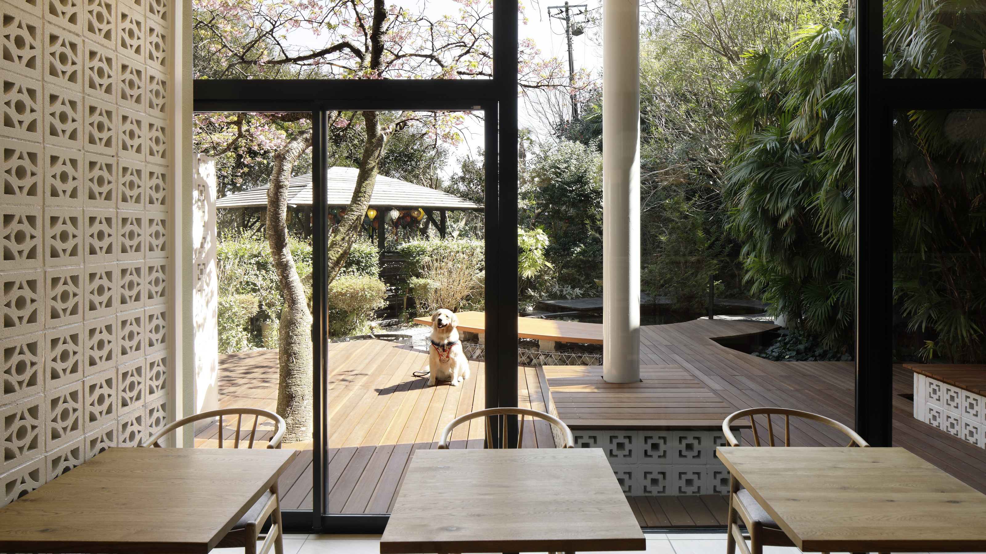 【カフェラウンジ】無料のドリンクを提供しています