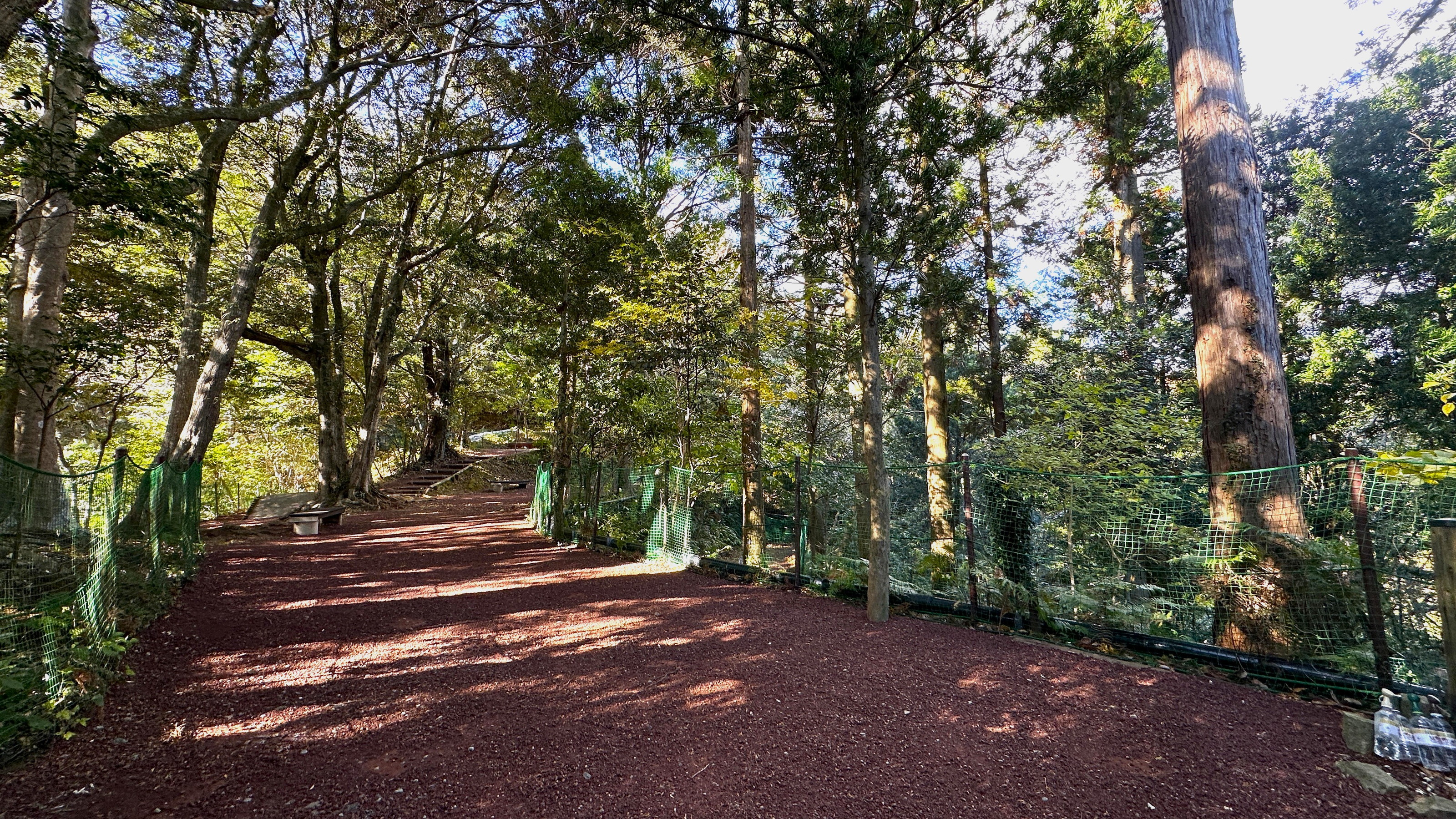 【森のドッグラン（本館施設）】