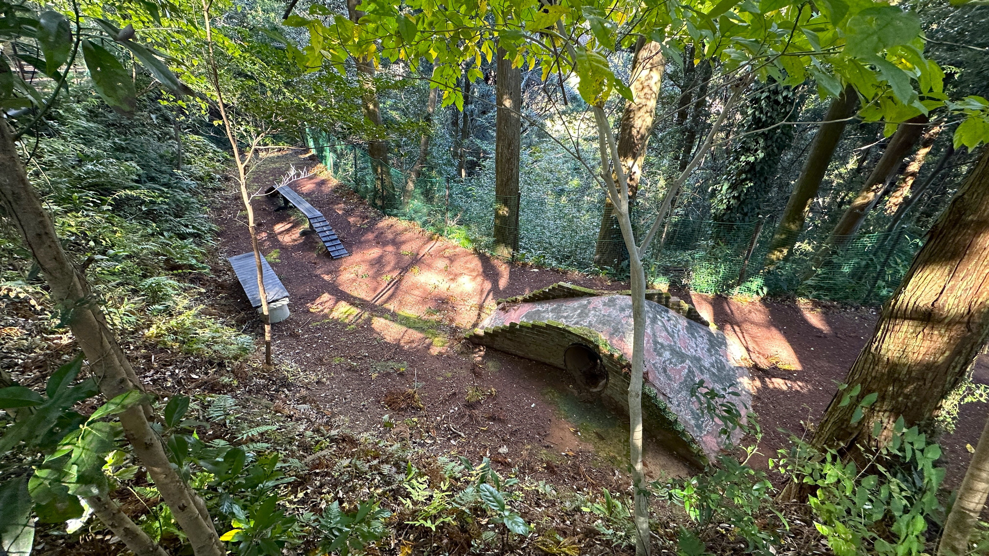 【森のドッグラン（本館施設）】