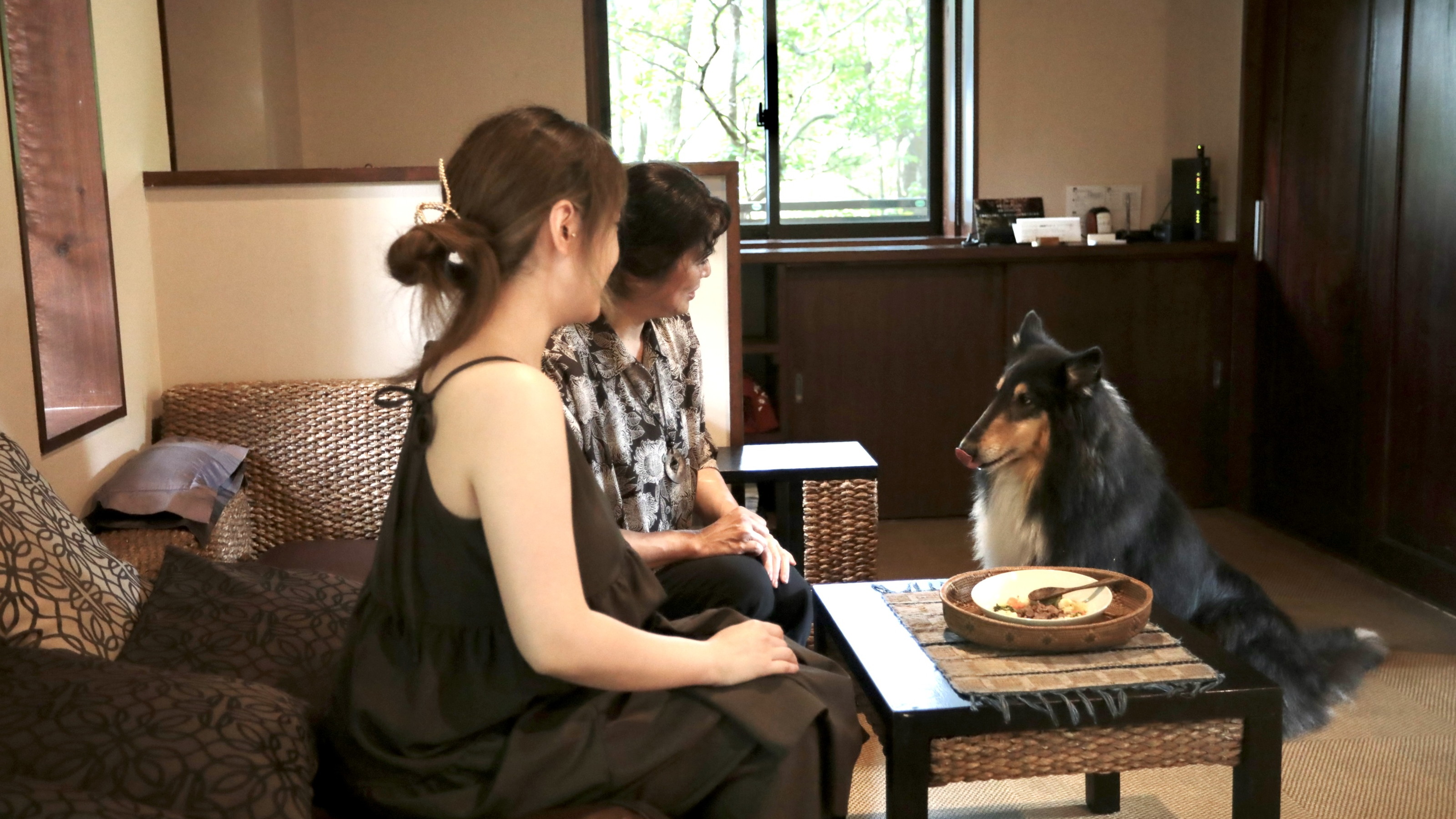 わんちゃん用のお食事はご注文いただいてからスタッフが手づくりしています