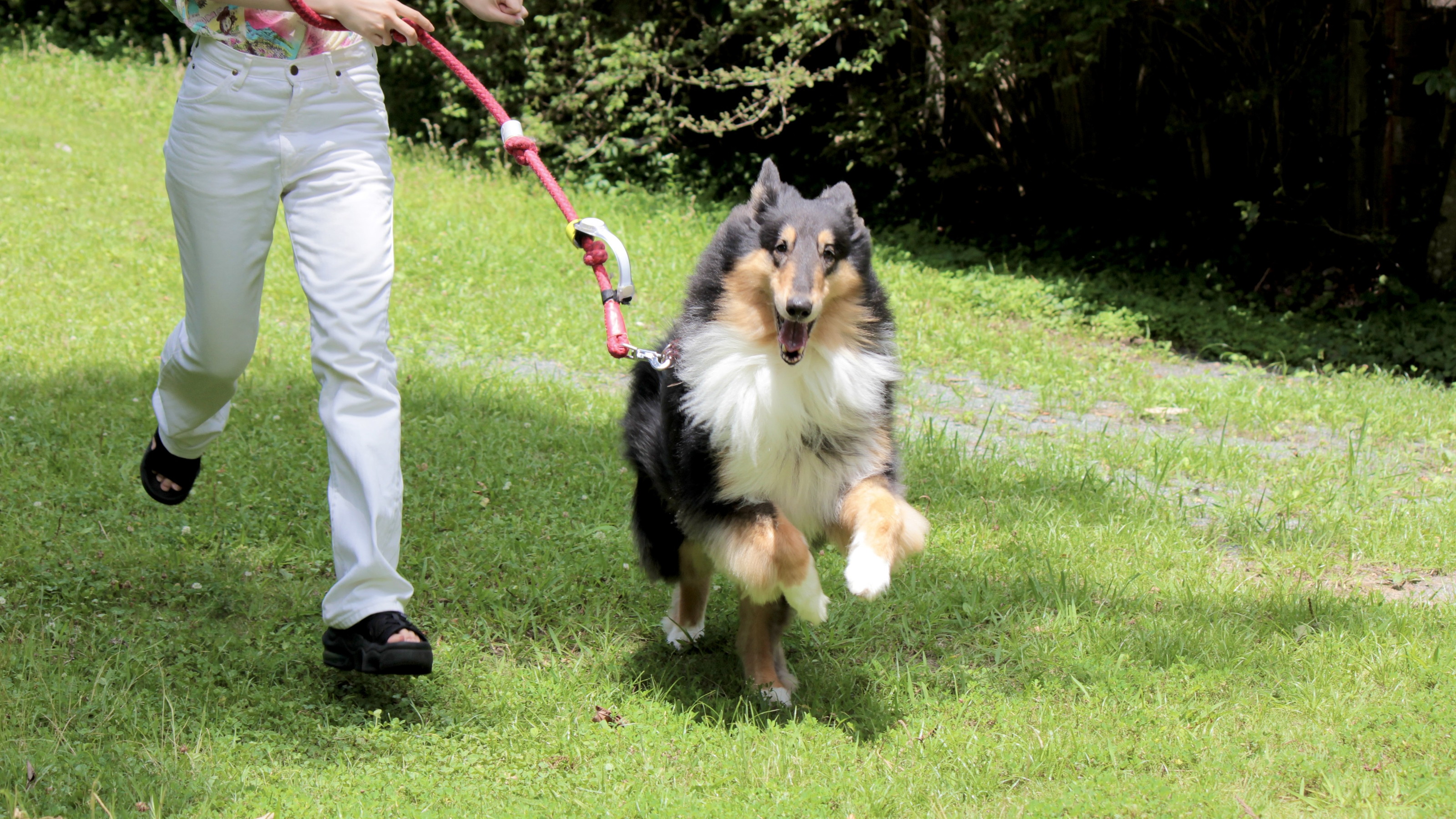 【別邸COCORO】本館から車10分／118平米◆半露天風呂・大庭園つき
