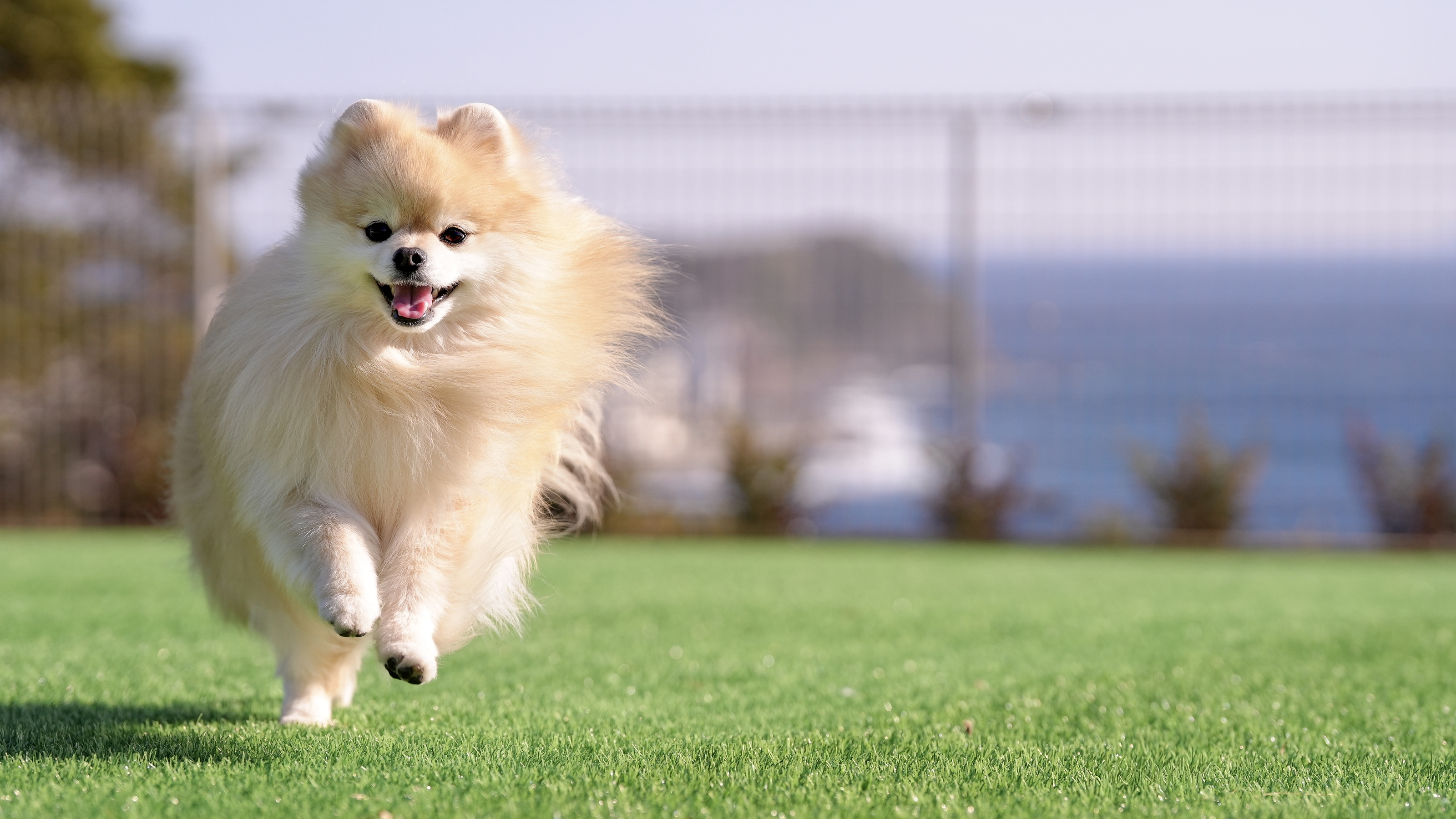 【別邸】海を臨むプールと温泉◆心ほどける海と空ULALA◆212平米