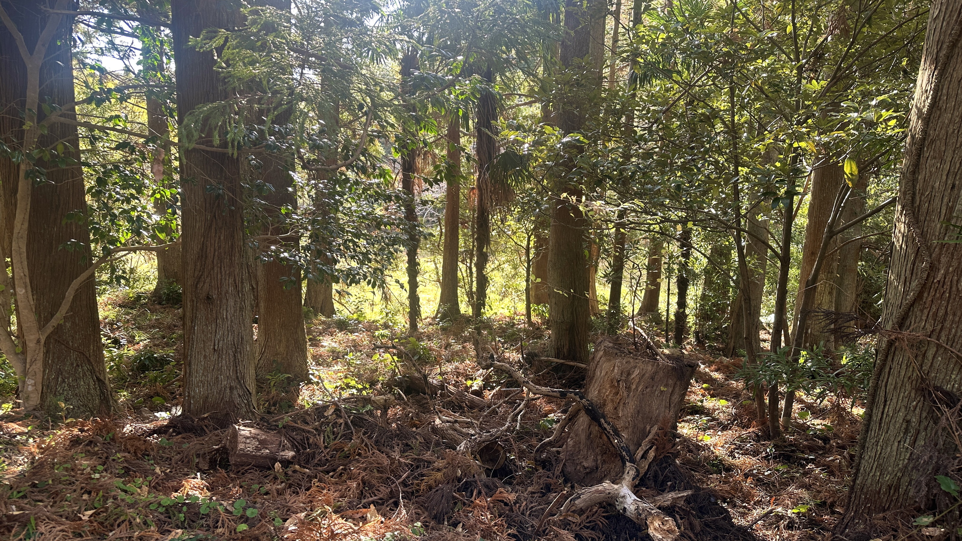 【別邸COCORO】本館から車10分／118平米◆半露天風呂・大庭園つき