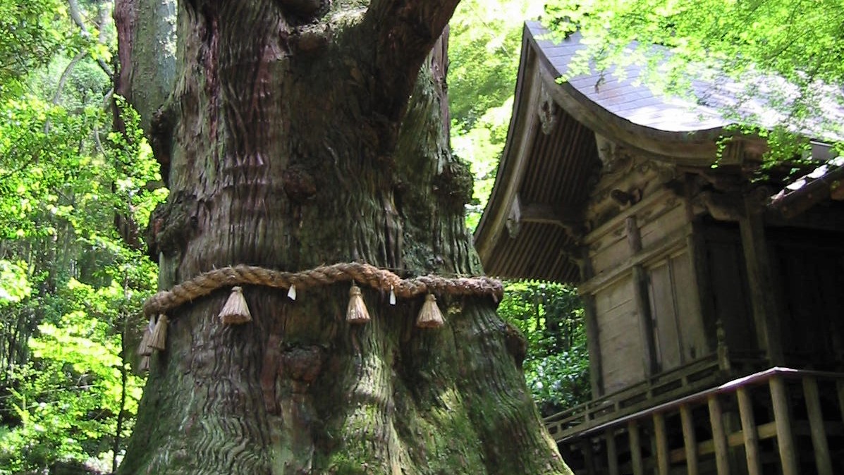 大杵社神社