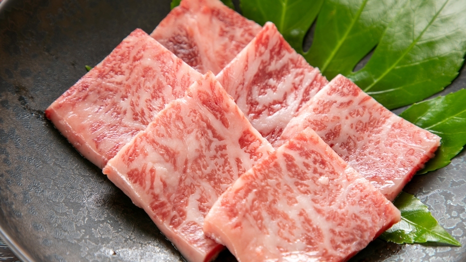 ＜鮎づくし×とちぎ和牛＞栃木の恵みを存分に味わう　贅沢会席