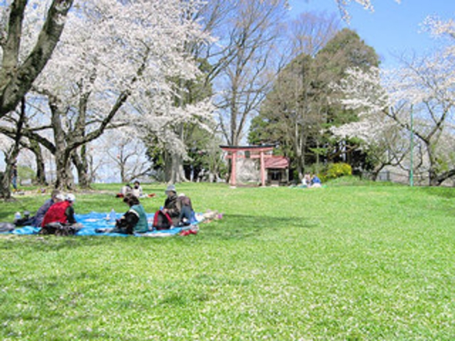 高水寺城、本丸