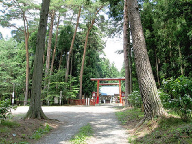 陣が岡公園，蜂神社