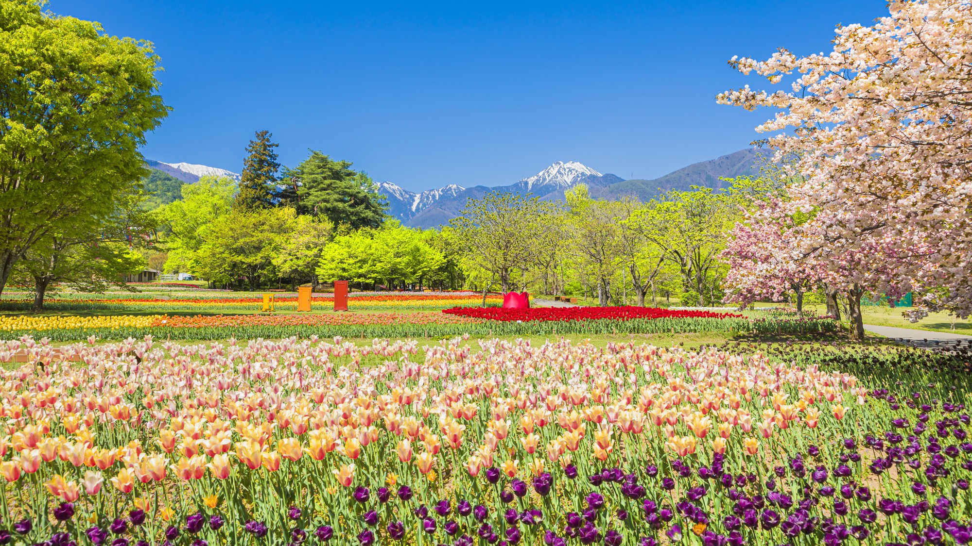 【国営アルプスあづみの公園】四季折々の花々が美しい（当館から車で約40分）