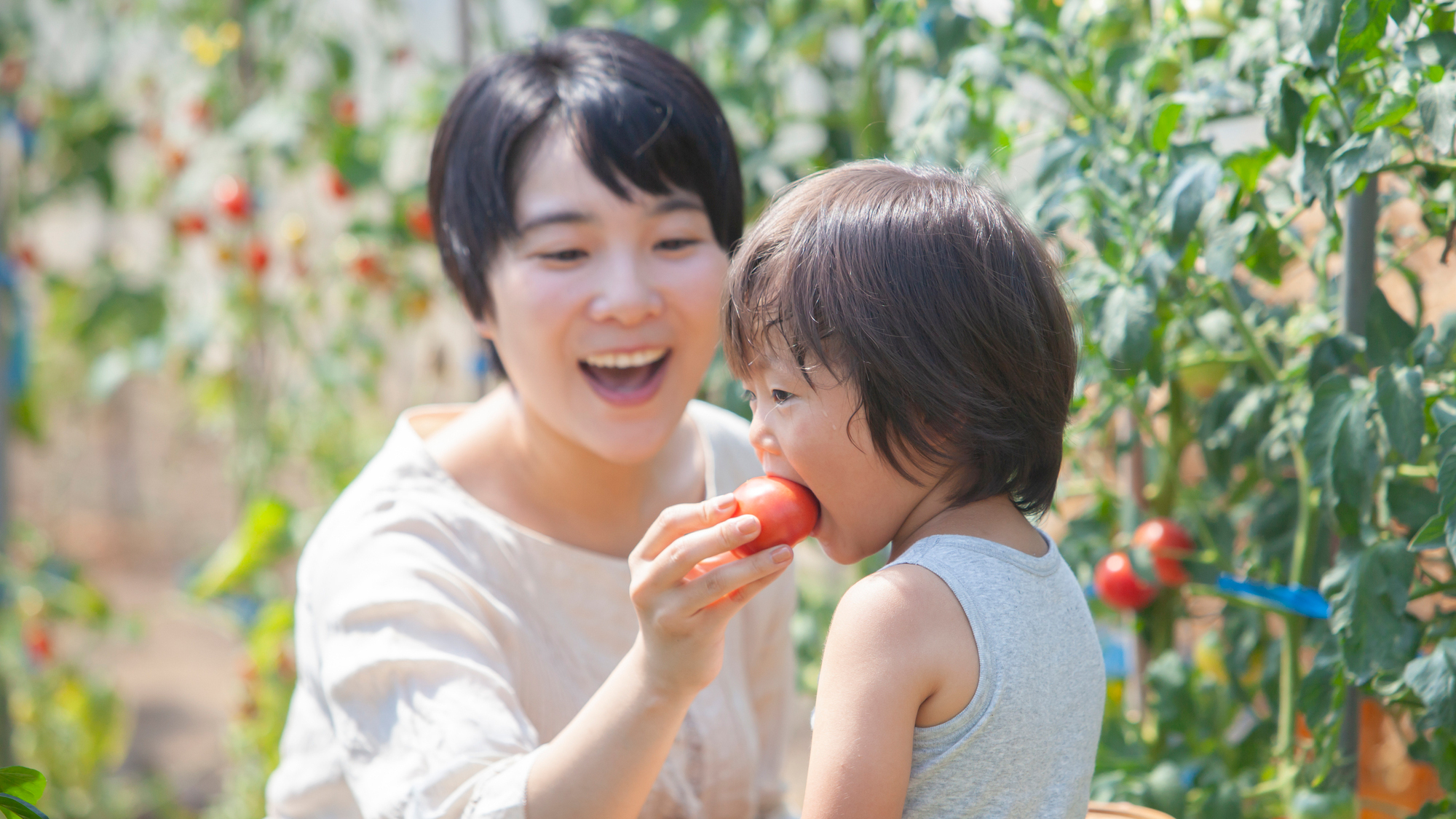野菜収穫体験！とれたての夏野菜を(^_-)-