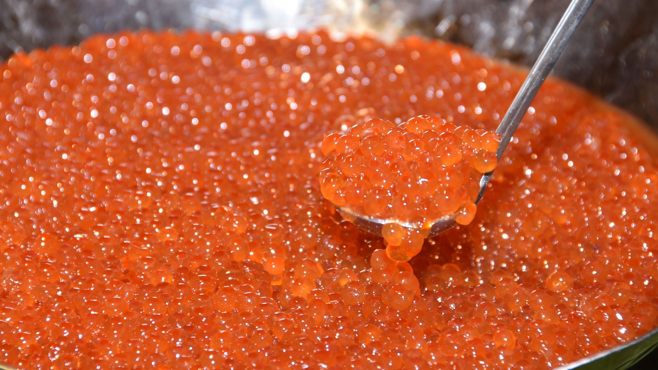 【早割60】15％OFF！カニやいくらも食べ放題—和食・洋食・エスニックビュッフェ／ビュッフェ夕朝食