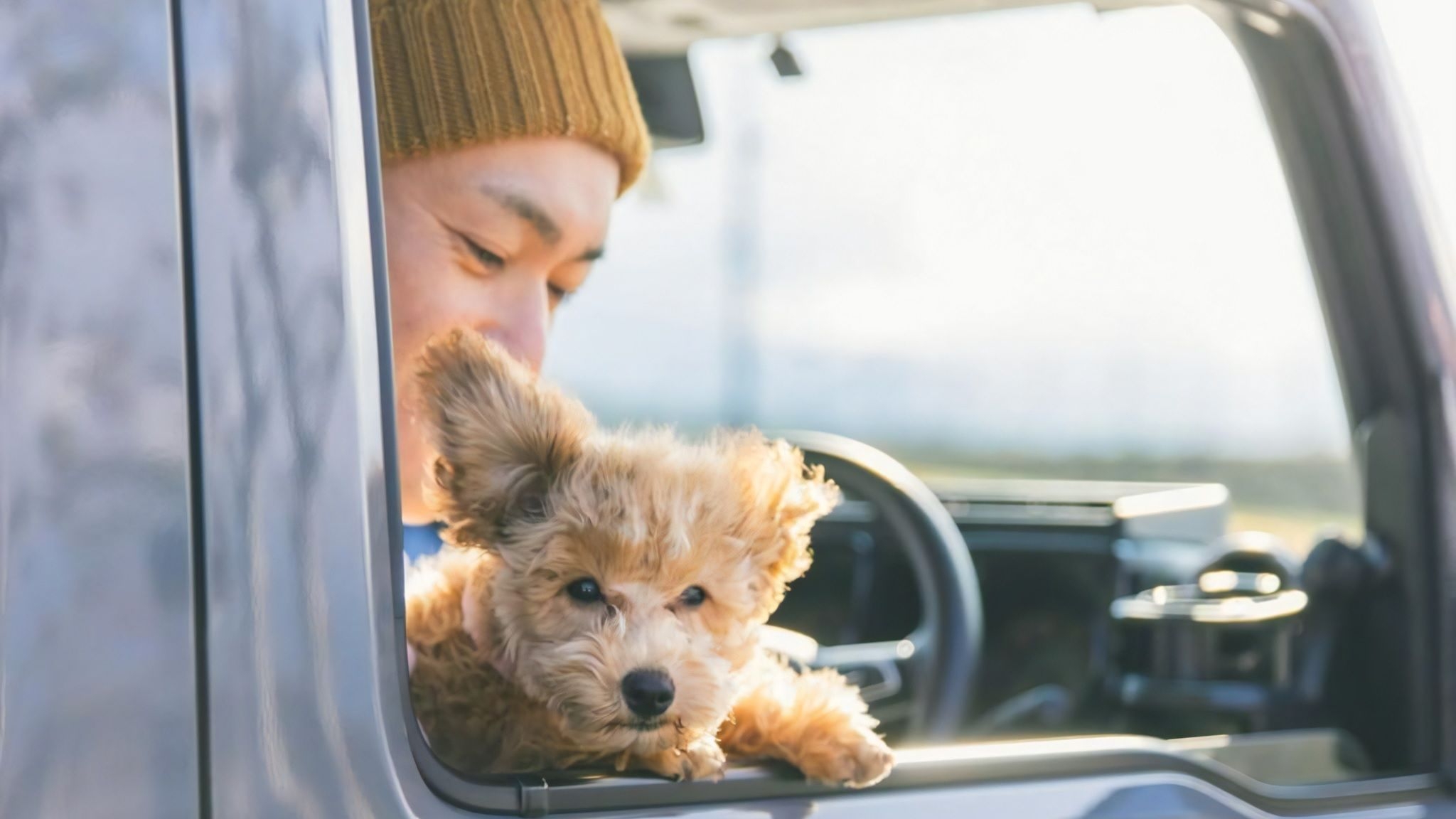 【早割30・わんちゃんと温泉旅行】旬の味覚満載　当館最上級の会席を食事処で楽しむ／滝本御膳・和朝食