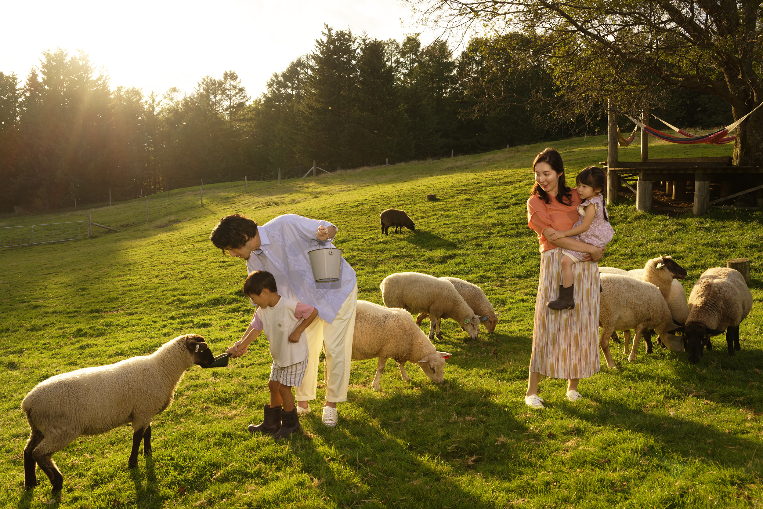 【トマム】イブニングファーム