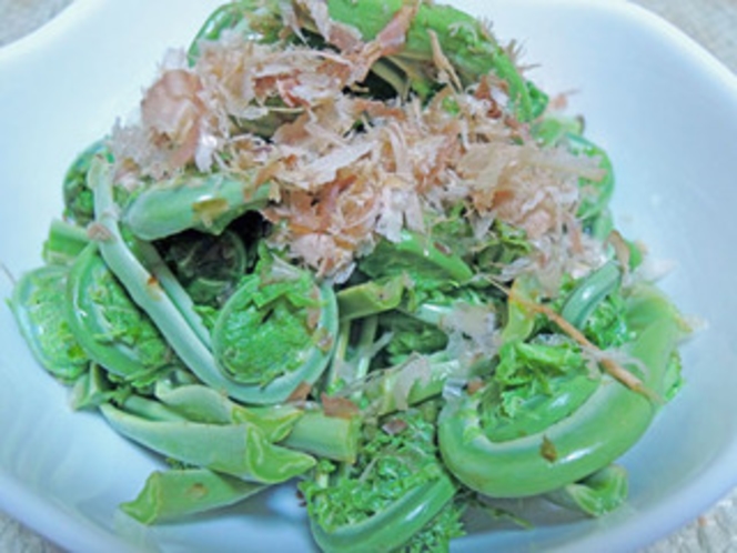 山菜3