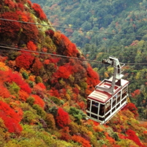 【周辺/秋】国の天然記念物にも指定される美しい紅葉