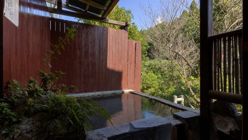 【50歳以上限定】量はひかえめミニ会席☆源泉かけ流し温泉☆貸切利用｜大人旅応援プラン
