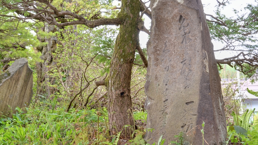 *自然豊かな戸隠に佇む当館。手入れの行き届いた庭園には、俳人・小林一茶句碑がございます。