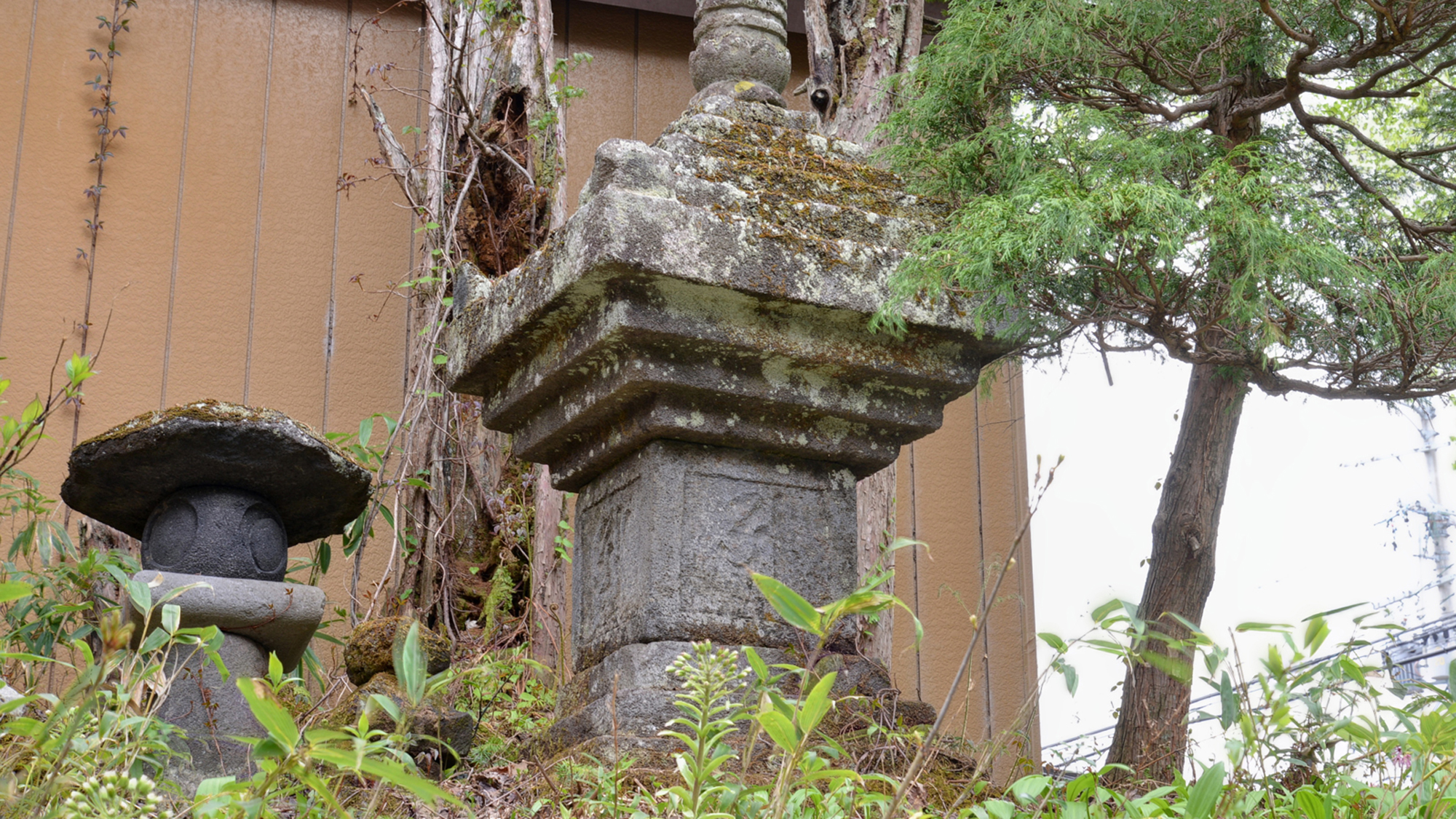 *自然豊かな戸隠に佇む当館。手入れの行き届いた庭園には、俳人・小林一茶句碑がございます。