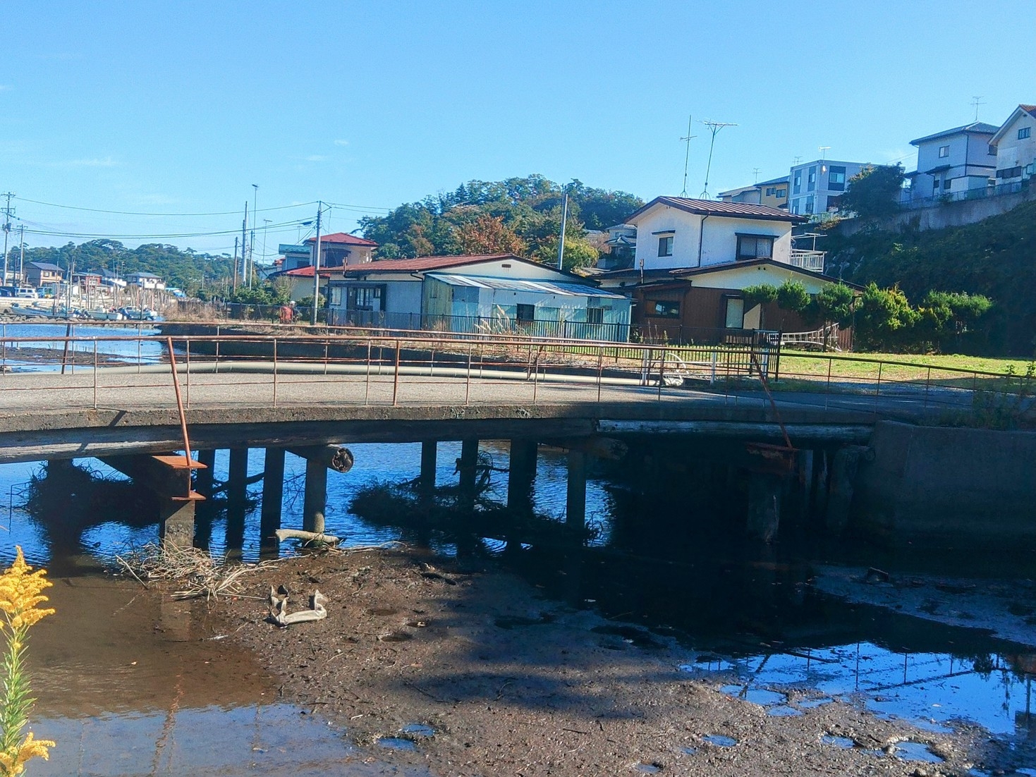 【ぼくが生きてる二つの世界】ご当地巡礼の旅素泊まりプラン