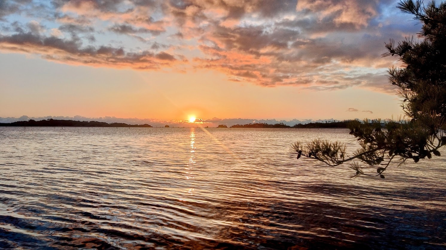 【ファミリー】早朝カニ籠漁＆海上から眺める表松島の初日の出〜忘れられない特別な瞬間を〜【謹賀新年】