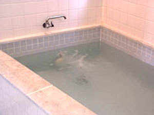 【朝食付】夕食は外で済ませたい方におススメ☆朝は身体に優しい和朝食をご提供！