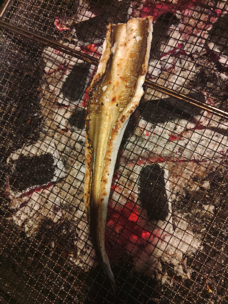 【ファミリー】手ぶらでオッケー☆伊達な遊び【夜の松島】アナゴ釣り体験＆お月見収穫祭プラン