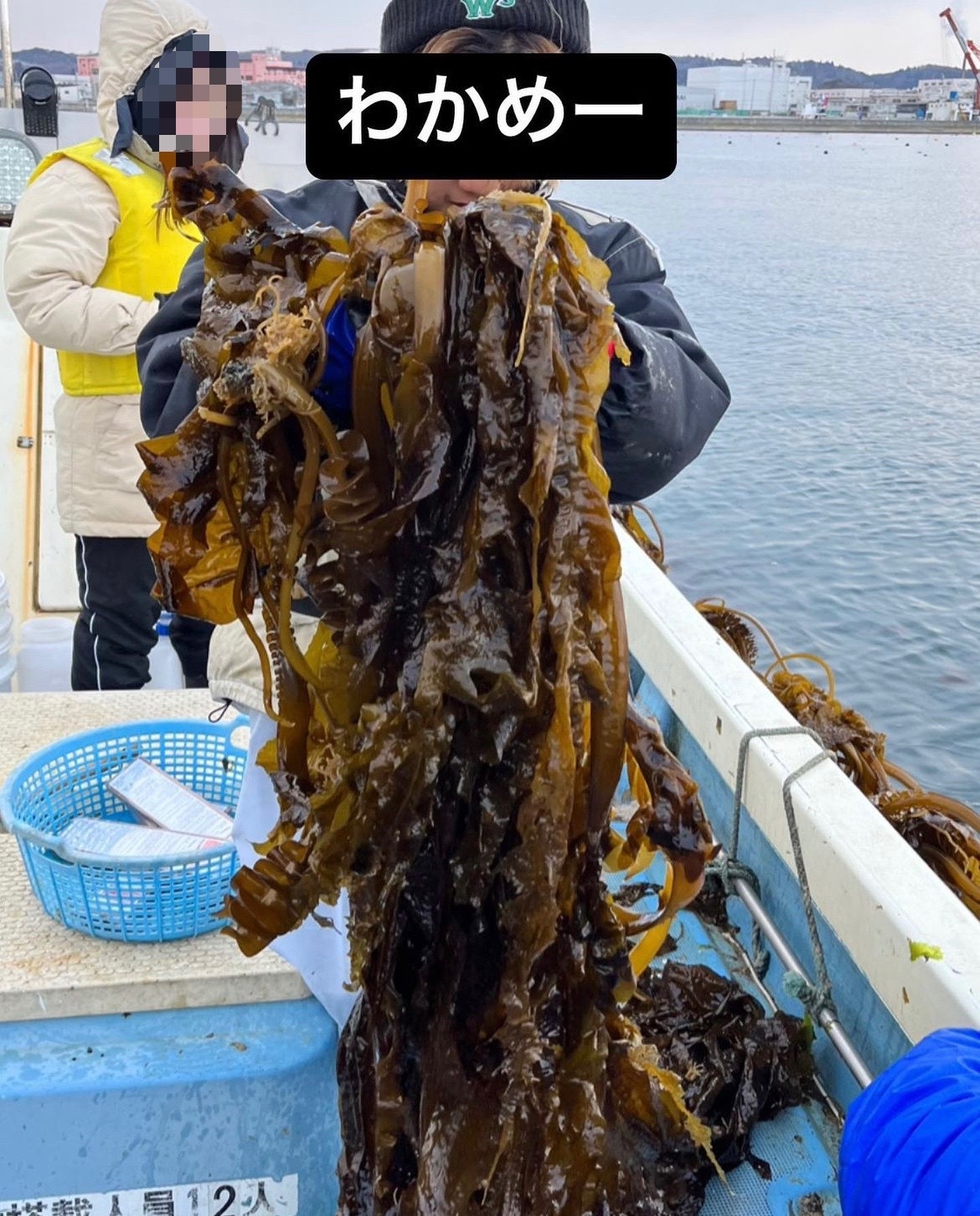 【創業33周年記念】感謝還元！キャプテン櫻井と行く「わかめ・アカモク・アオサ」海藻御三家漁＆1泊2食