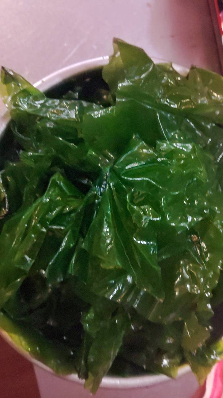 【創業33周年記念】感謝還元！キャプテン櫻井と行く「わかめ・アカモク・アオサ」海藻御三家漁＆1泊2食