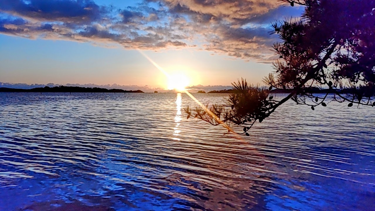 【ファミリー】早朝カニ籠漁＆海上から眺める表松島の初日の出〜忘れられない特別な瞬間を〜【謹賀新年】