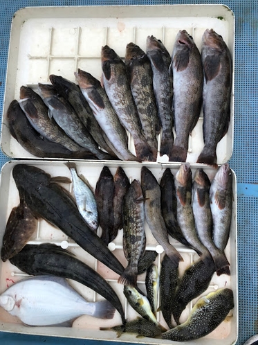春の釣り体験