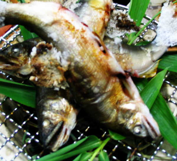 料理旅館 吉村屋 宿泊予約 楽天トラベル 料理旅館 吉村屋 宿泊予約 楽天トラベル