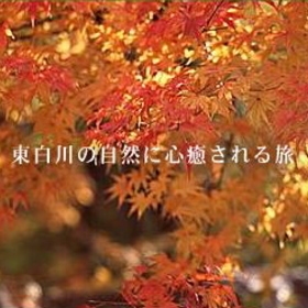 ◆吉村屋日本料理〜【秋味】『松茸の土瓶蒸し×落ち鮎の塩焼き』