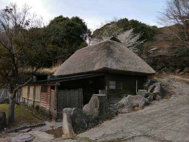 茅葺ハウス　外観