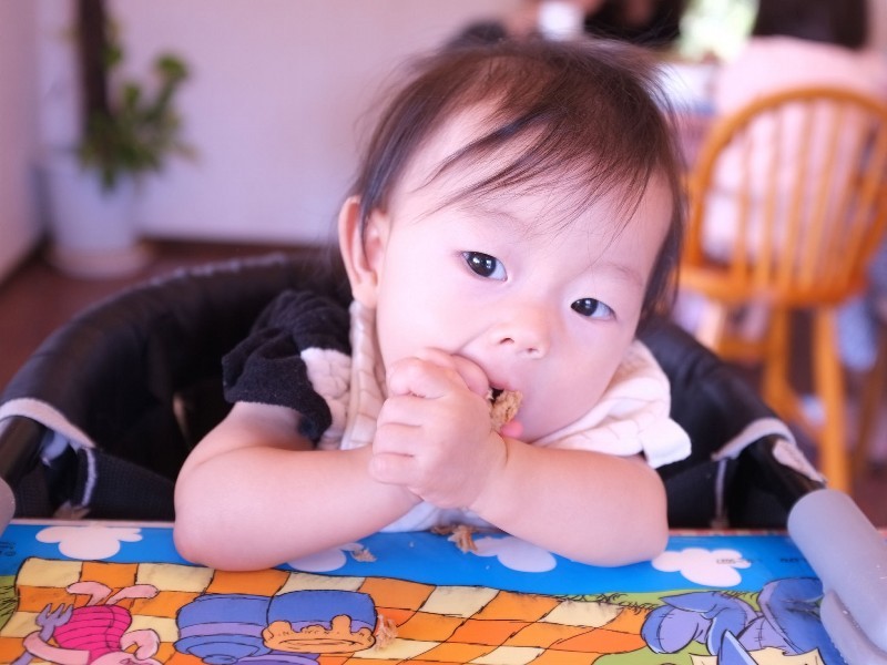 キッズペンション フルーツジュース 淡路島 設備 アメニティ 基本情報 楽天トラベル キッズペンション フルーツジュース 淡路島 設備 アメニティ 基本情報 楽天トラベル