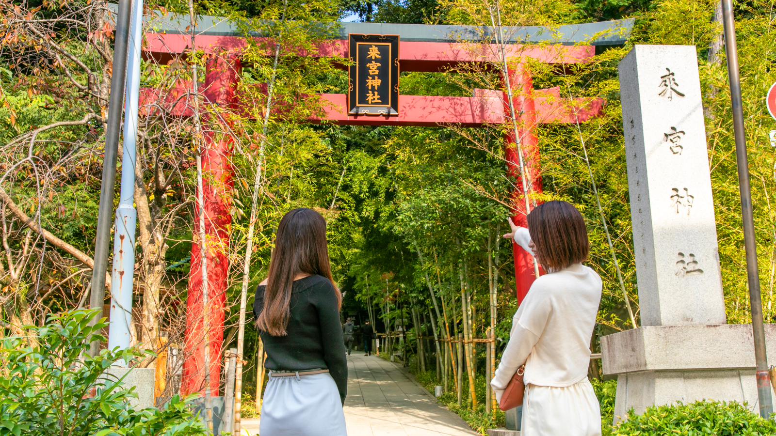 徒歩約10分のところにある日本屈指のパワースポット「来宮神社」