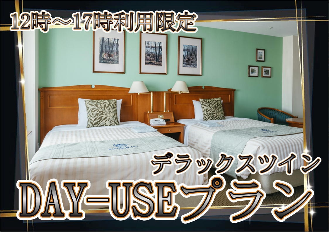 DAY-USEプラン(デラックス)【お昼12時〜夕方5時利用限定】