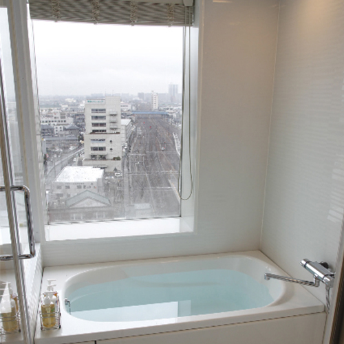 サウスウイングビューバスタイプ バスルーム