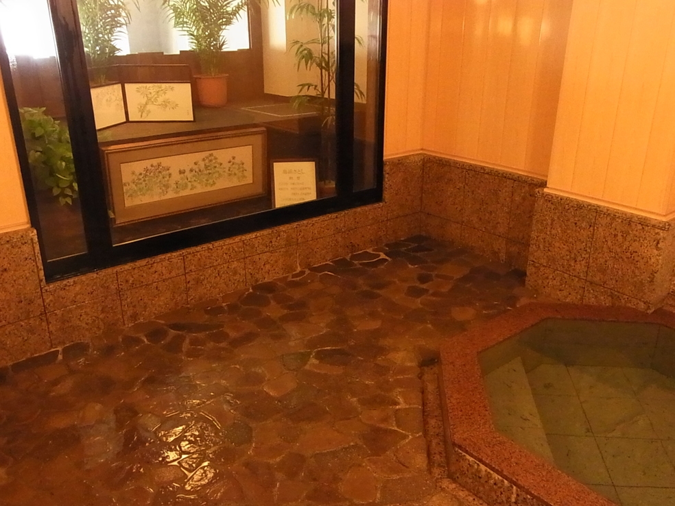 源泉掛け流し温泉無料☆自家製コシヒカリ朝食プラン(現地決済は現金のみとなります）