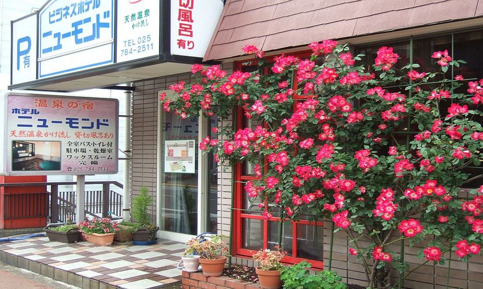 https travel rakuten co jp hotel 3046 3046 html