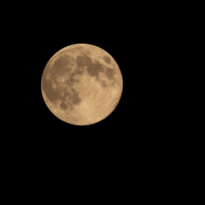 写真5