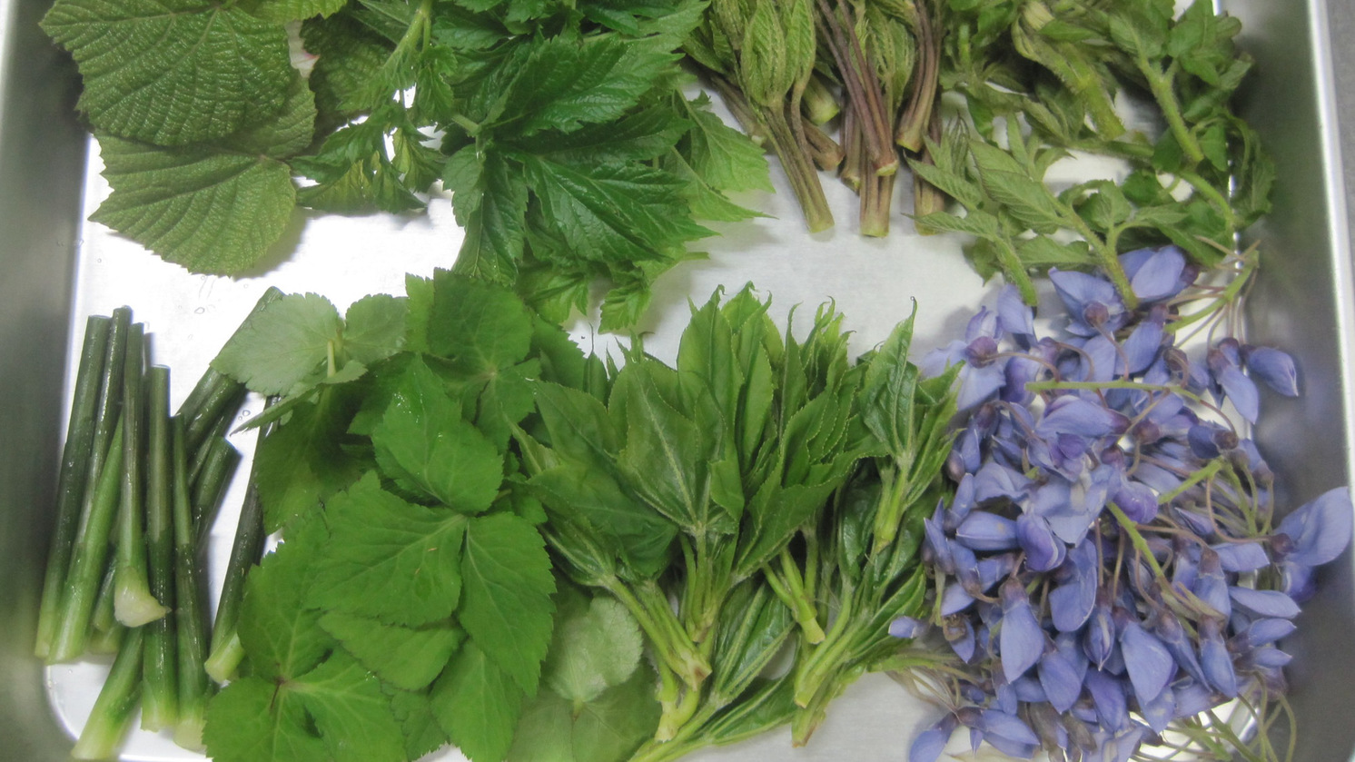 【スタンダード2食付】年間約50種類の山菜を使用！季節替わりの手作り山菜料理