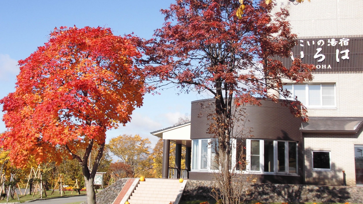 【秋の道民割5％OFF】平日限定！いろは膳へグレードアップ＆売店特典付＜チェックアウト10時＞