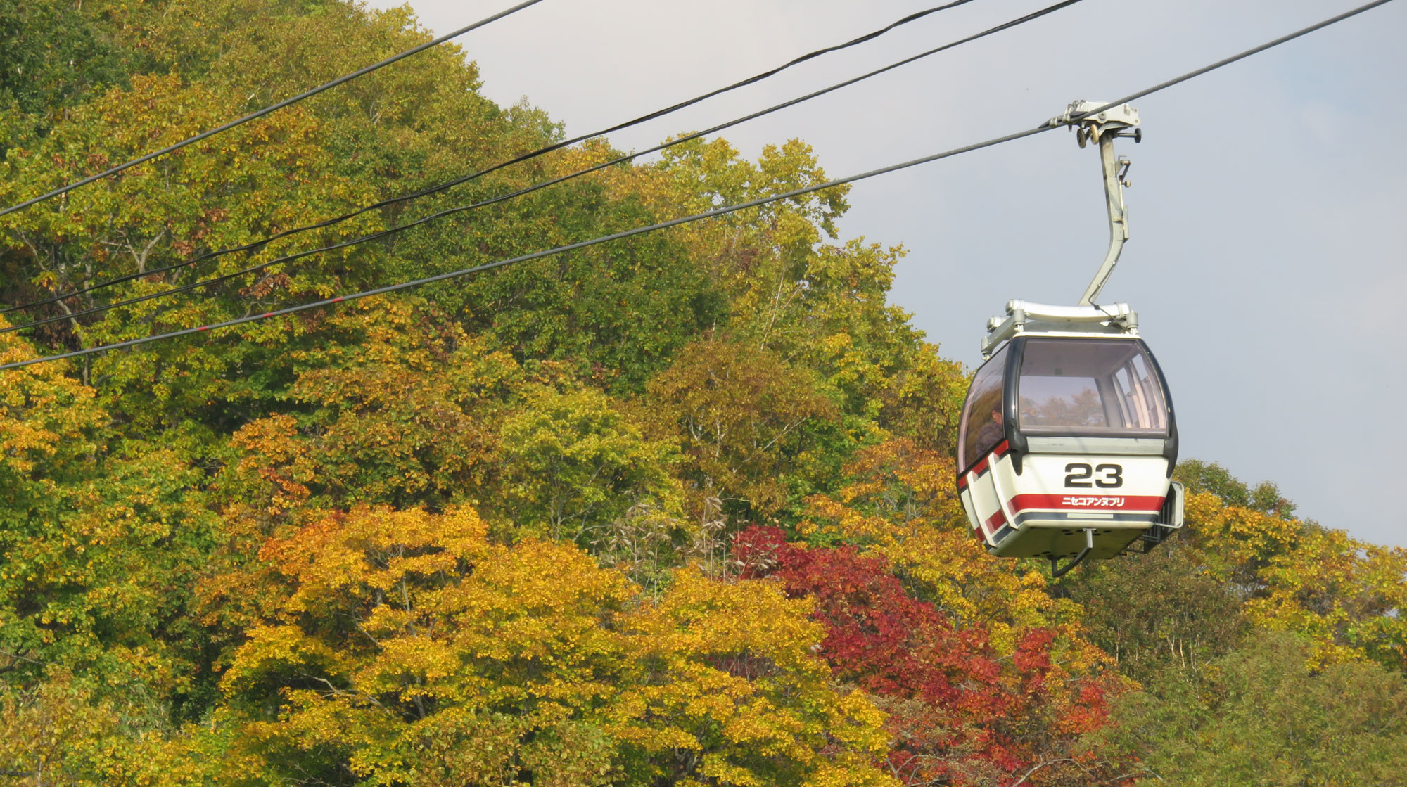 秋のアンヌプリゴンドラ