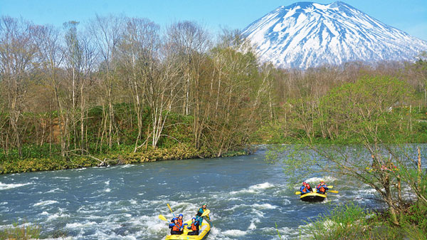 【ラフティング】緑に萌える羊蹄山や川面の自然が美しい、比較的穏やかな川の流れの夏コース