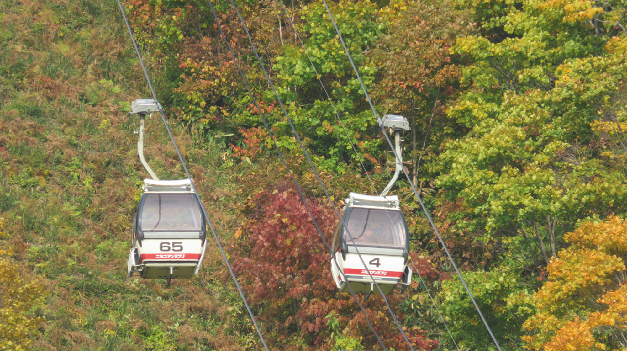 秋のアンヌプリゴンドラ