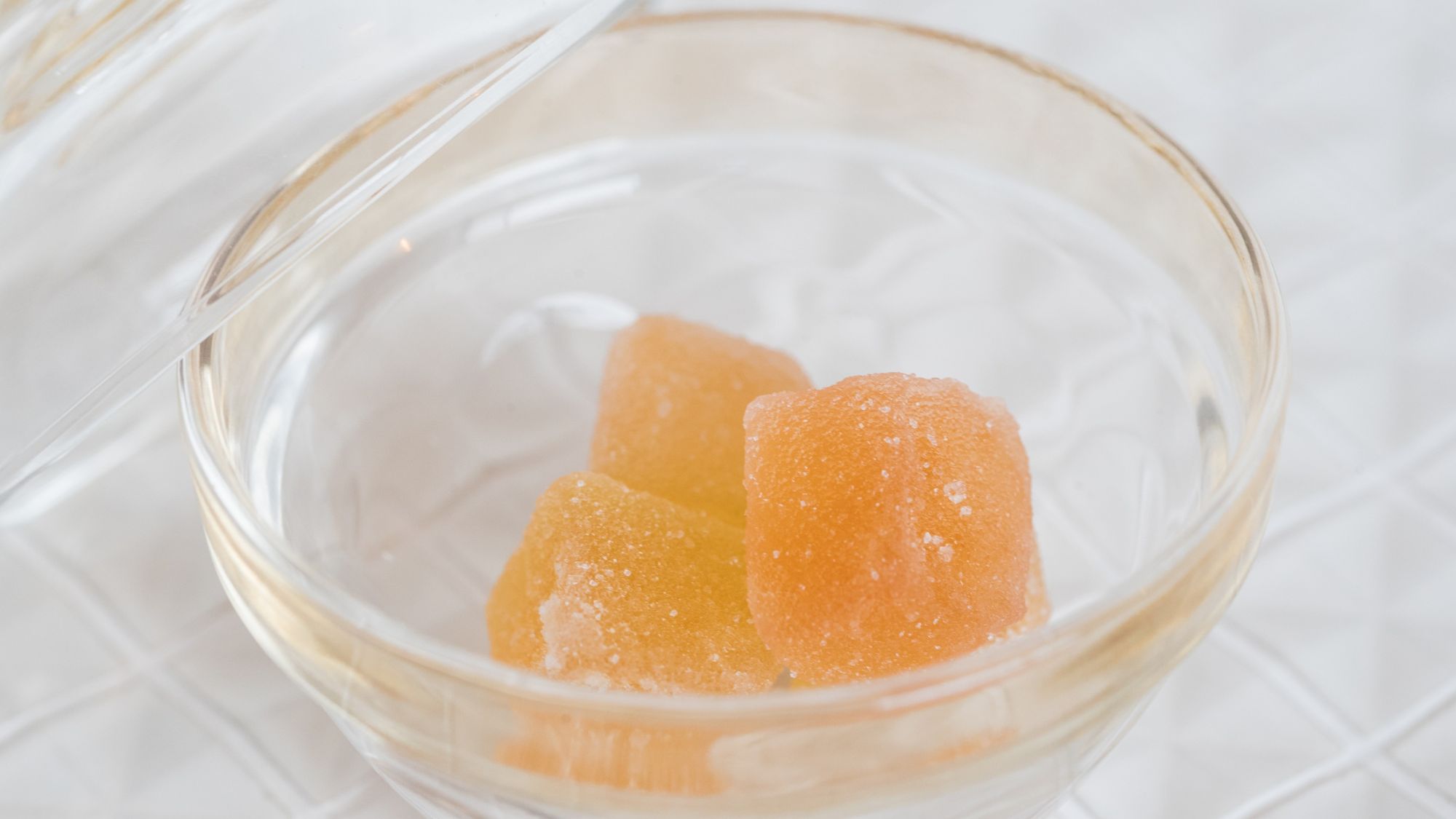 【リニューアル記念3大特典プラン】5％OFF！オールインクルーシブ＆花べっぷ基本会席｜2食付