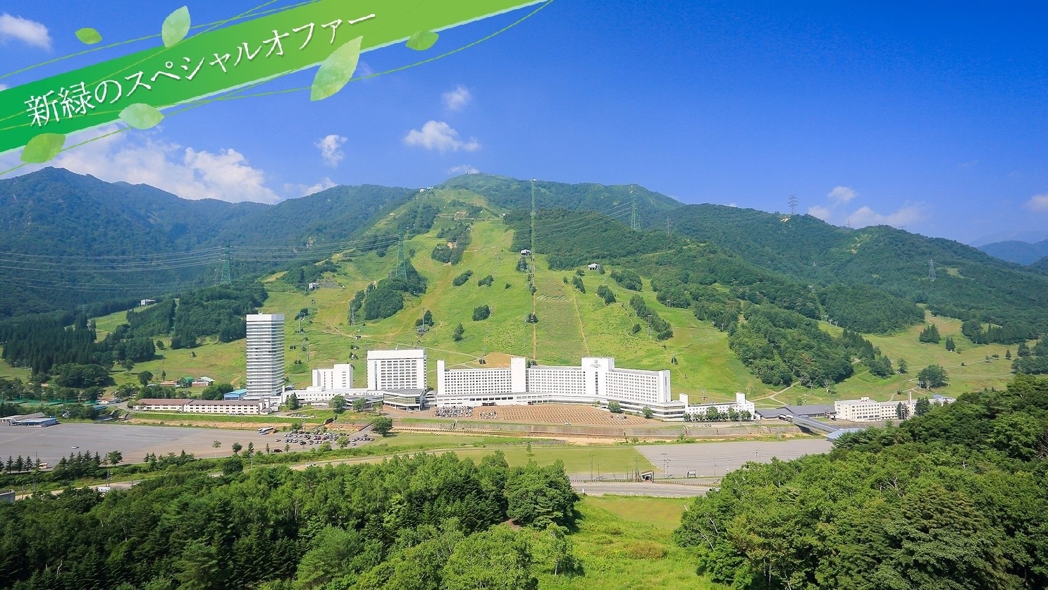 新緑のスペシャルオファー(素泊まり)
