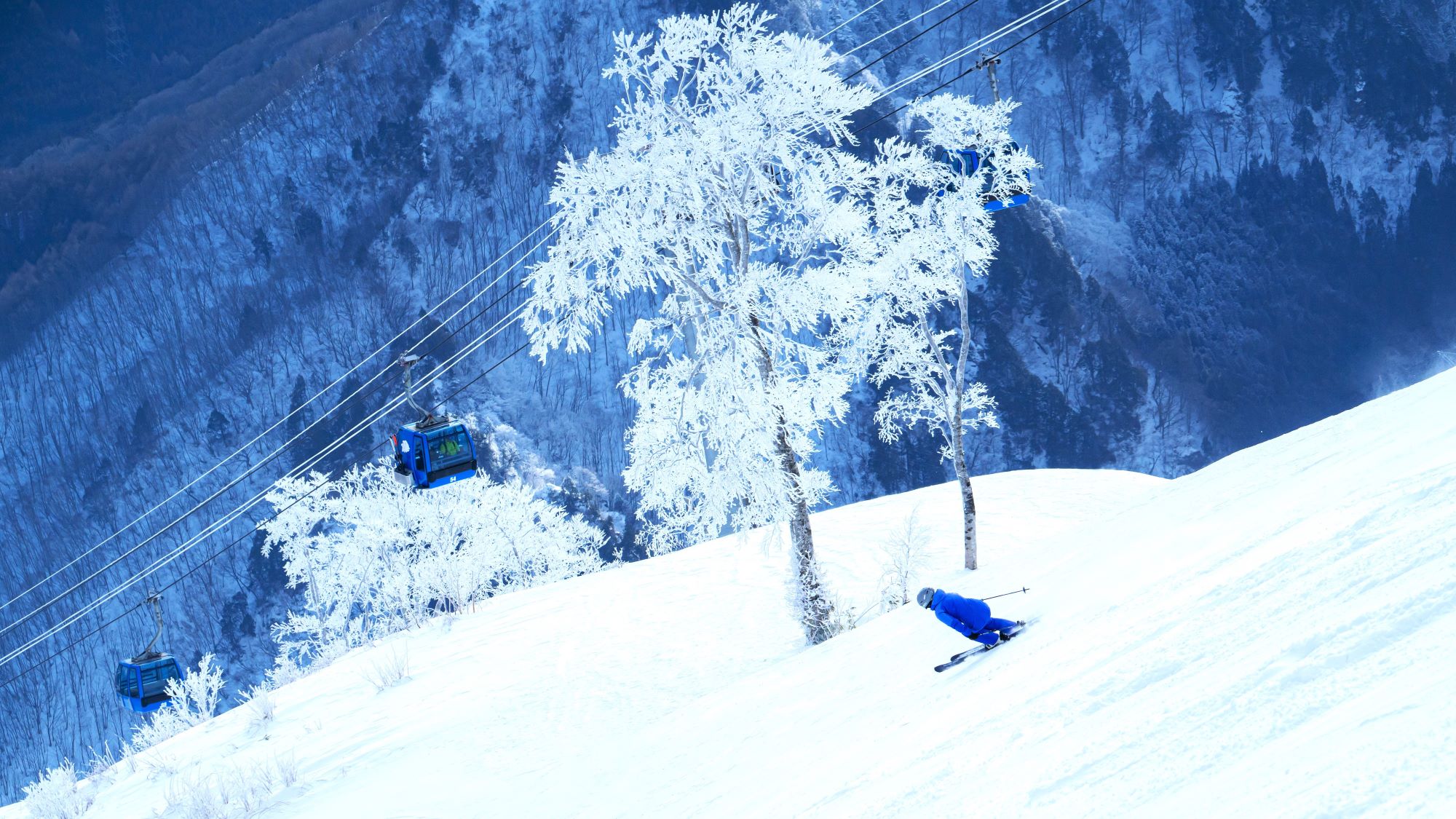 独占できる幸せ。朝一番のピステンバーンを縦横無尽に滑り抜ける、究極の喜びを全身で感じて。